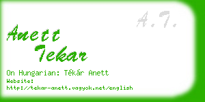 anett tekar business card